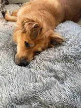 Blanket Mattress Cushion-House Sleeping-Cover Dogs Small Soft-Fleece Large Cat-Bed Puppy