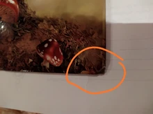 Libro de diccionario de seguridad para el hogar, caja de seguridad oculta para guardar joyas, con cierre de llave, Deco, 24,2x15x5,5 cm