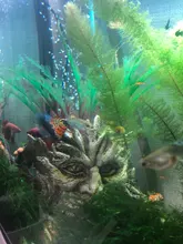 Aquarium-Ornament Bonsai Cave-Stone-Decoration Plant Fish-Tank Garden Tree-Man Cute PVC