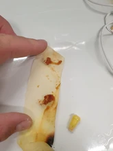 Hopi-limpiador de oídos, vela de oreja, removedor de cera, cuerno, bandeja para tapones para los oídos, aromaterapia redonda, fragancia de Candling de Indiana, 10 Uds.