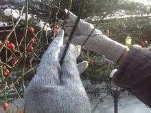 GMG-guantes de seguridad anticortes, gran oferta, color gris y negro, HPPE EN388 ANSI, Nivel 5