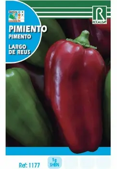

Semence for planting vegetable pepper long REUS