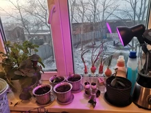 Grow-Lamp Lights-Plants E27-Hydroponic-System Indoor-Lighting 80leds Full-Spectrum 220V