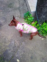 Ropa de invierno para mascotas, atuendo con chaleco cálido para perros pequeños, abrigo para perro, Chihuahua acolchado, a prueba de viento, 20