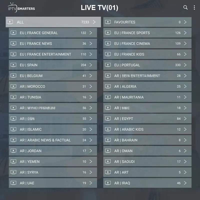 Spain IPTV France Arabic Portugal IP TV Netherlands Magnum for Android M3U IOS MAG Enigma2 Smart TV 1 Year Code Subscription