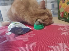 Natural Catnip Toys For Cats Crazy Healthy Cat Toys For Kitten Edible Treating Cleaning