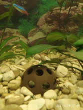 Aquarium-Decoration SHELTER-HOUSE Fish-Tank-Decor Simulation-Stone Fish-Shrimps Ceramic