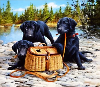 

Painting by numbers "on a picnic" color kit cg865