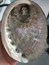 Soap-Dish Seashell Jewelry Nautical-Decor Aquarium Beach 5-Sizes