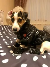 New Arrival Noble Pet Dogs Winter Vest Coat Fur Collar Russia Classic Dogs Clothing Soft