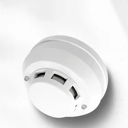 Détecteur de gaz Combustible, alarme de fuite de gaz Combustible, détecteur de gaz Combustible, maison hôtel usine Applicable 