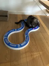 Toy Cat Pet-Toys Pet-Accessories Play Tunnel Interactive-Track-Ball Suction-Cup Round-Shape