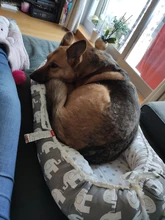 Cuna portátil para bebé, cuna de viaje plegable para recién nacidos