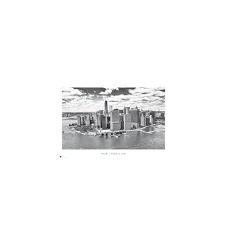 

POSTER NEW YORK CITY AIRVIEW