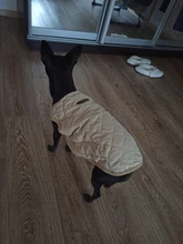 Dog Winter Bulldog-Coat Chihuahu Small French Outfit Puppy Medium Warm 