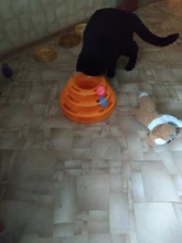 Toy Pet-Toy-Ball Carousel-Ball Track Cat-Supplies Three-Layer-Tower Baby Automatic