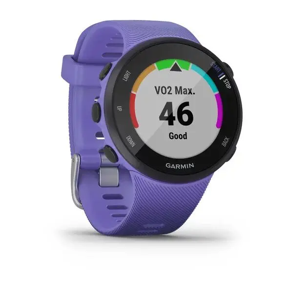 Часы для бега с GPS Garmin Forerunner 45S Ирис|Фитнес-трекеры| |