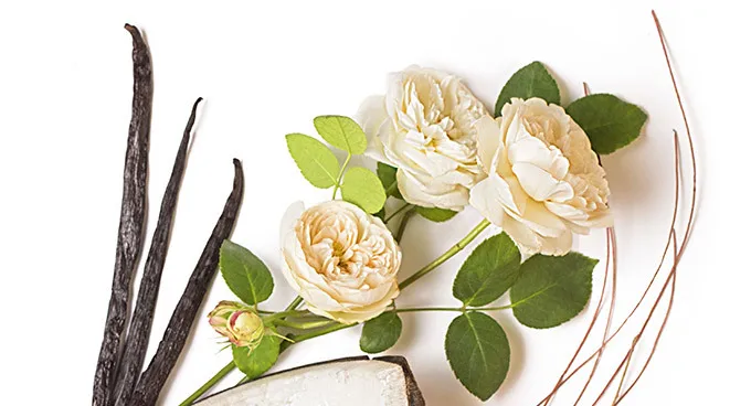 FP-NUXE-FR-Fragrance-Soins_prodigieux-2017_06-web