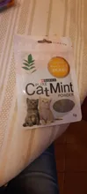 Cat-Toys Cattle-Grass Menthol-Flavor Organic Catnip Funny 100%Natural Care Clean-Teeth