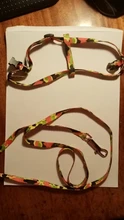 Harness Leash Traction Cats-Products Cat-Collar Pet Nylon Kitten Adjustable Gato