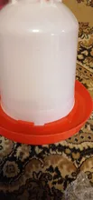 Cups Chick Automatic Farming-Tools Drinker Drinking-Fountain Poultry-Feeders Water-Bucket