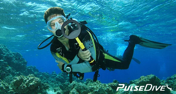 PulseDive Подводное детектор и указателе 2-in-1 комплект