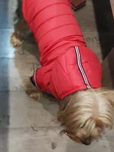 Small Dog Clothes Winter Warm Pet Dogs Coat Jacket Puppy Cat Outdoor Clothing Hoodies