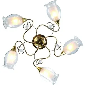 

Ceiling chandelier artelamp supplier