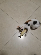 Cheap Pet Products Fish Toy Cat Scratch Board Scratching Post Catnip toys for Cat Pet