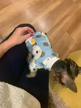 Rabbit Print Pet Cat Costume for Cats Soft Kedi Katten Sweatshirt Hoodie Spring Summer