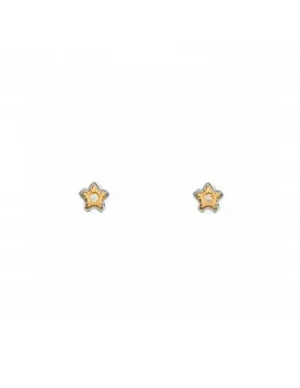 

Gold earrings Baby or Girl star bicolor with circon (9kts)