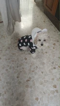 Dog Overalls Clothing Puppy Winter Coat Hoodie Pet-Dog Cotton Thicken Dot for Small Big-Polka-Dot