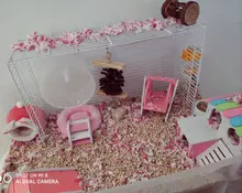 Toy Swing-Hamster-Accessories Hamster Swing Guinea-Pig Chinchilla Climbing-Toy Hedgehog
