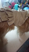 Warm Pet Dog Dress Vest Jacket For Dogs Cats Winter Chihuahua Yorkies Clothes Maltese
