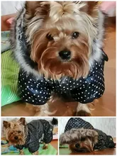 Coat Dogs-Clothing Dot-Pattern Winter Hooded Pet-Dogs New Xl To High-Quality