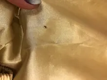 Pijamas de manga larga para niñas, otoño e invierno, conjunto de seda, chándal, 2019