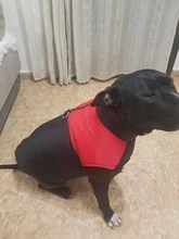 Coat Jacket Puppy-Vest Dogs Waterproof Winter Medium Pet-Dog Zipper Small Large Warm