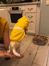 Seguridad ropa de perro clásico sudaderas con capucha para perro mascota ropa de perro otoño chaqueta de abrigo para perro Chihuahua cachorro ropa 10d3S1