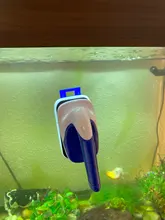 Cleaner Magnets-Brush Glass-Algae Aquarium Fish-Tank Scraper Practical Floating