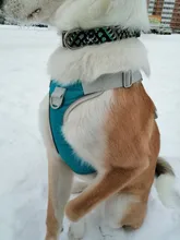 Harness Vest Pet-Products Collar Soft-Lining Walking-Training Reflective Adjustable Small