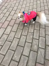 New Arrival Noble Pet Dogs Winter Vest Coat Fur Collar Russia Classic Dogs Clothing Soft