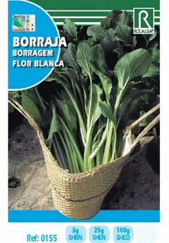 

Semence for planting vegetable borage flower White