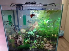 Led-Lighting-Lamp Dimmer Timer Fish-Tank-Light Aquarium Planted NICREW for 32-74cm 110V-240V
