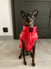 Ropa cálida de lana para perro, chaleco interior para mascota Bulldog, traje para cachorro, chaquetas para perro a prueba de viento, ropa de 8 colores para perros medianos y grandes