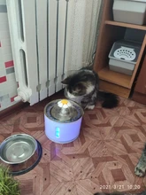 REPLACEMENT-FILTER Fountain Dog-Water-Dispenser Cat-Water Automatic for Pet-Cat 12pcs