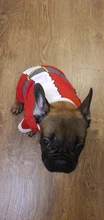 Shirt Pet-Clothing Dog-Costume Puppy Dogs Vest Christmas Chihuahua Cotton Small Medium