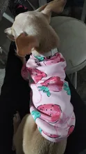 Traje para perros con estampado de animales, abrigo suave de algodón para mascotas, Jersey, camisa, chaqueta, suéter, ropa para mascotas