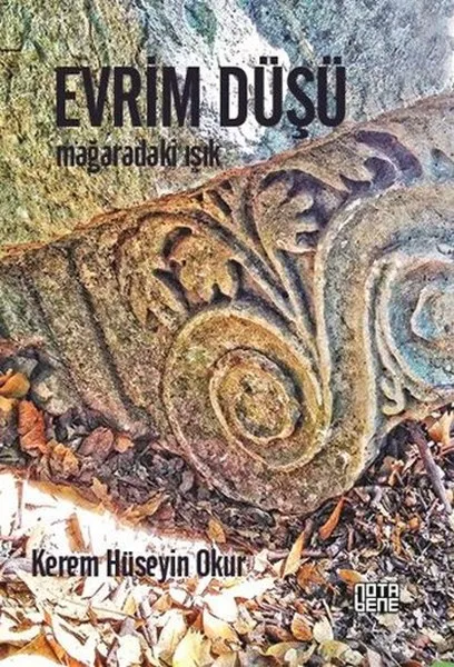 Evolution DUSU Carter Hüseyin читает передачи Nota Bene | Канцтовары для офиса и дома