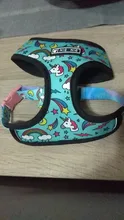 Pet-Harness Vest Lead-Leash Puppy-Frenchie Dogs Walking-Dog Pug Small for Bulldog Medium