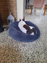 Cats Nest Bed-House Pet-Cushion Pets-Supplies Dog-Mat Plush-Dog Round Warm Soft Winter